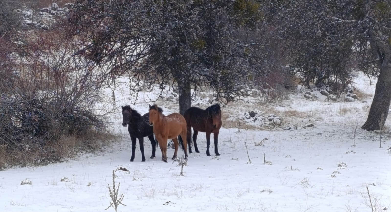 Ankara’nın tarihi ve doğal güzellikleriyle öne çıkan ilçesi Beypazarı, kış