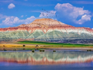 Nallıhan Kuş Cenneti (Renkli Tepeler ve Vahşi Yaşam)
