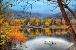 Eymir Gölü (Doğa ve Yansıma Kareleri)