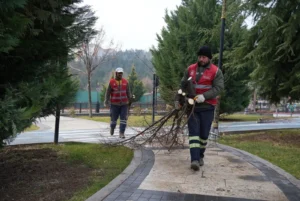 Keçiören Belediyesi, kış aylarında park ve yeşil alanlarda gençleştirme ve