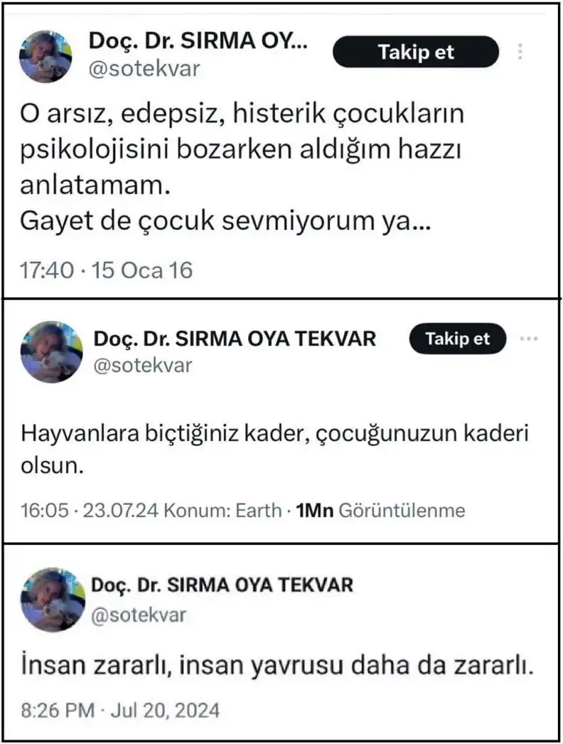 Ankara Üniversitesi’nde görev yapan bir akademisyenin çocuklara yönelik sosyal medya