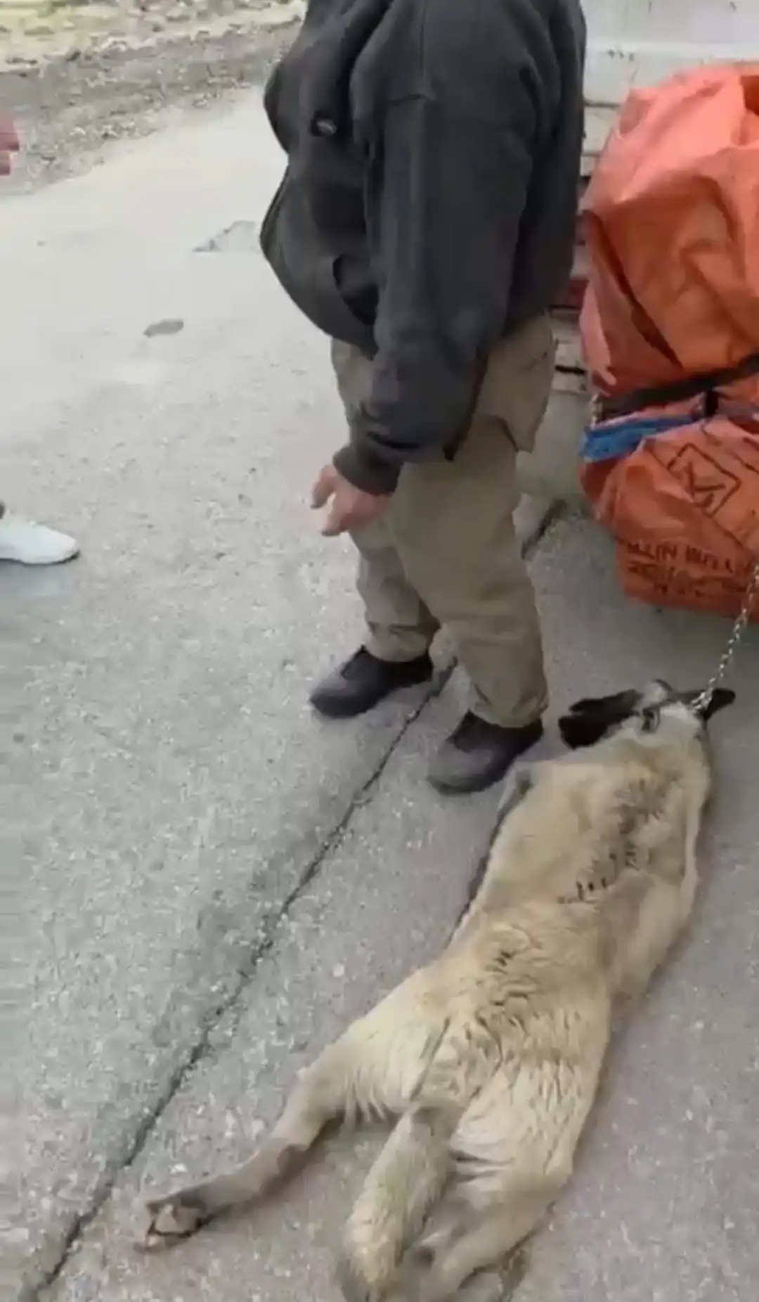 Ankara’da bir kamyonetin arkasına zincirle bağlanarak sürüklenen köpek, duyarlı vatandaşlar