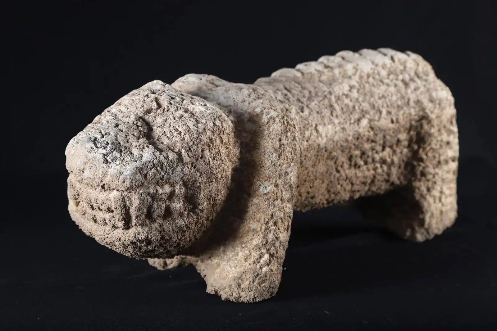 Göbeklitepe ve Taş Tepeler’in 12 bin yıllık insanlık hikâyesi, Kültür