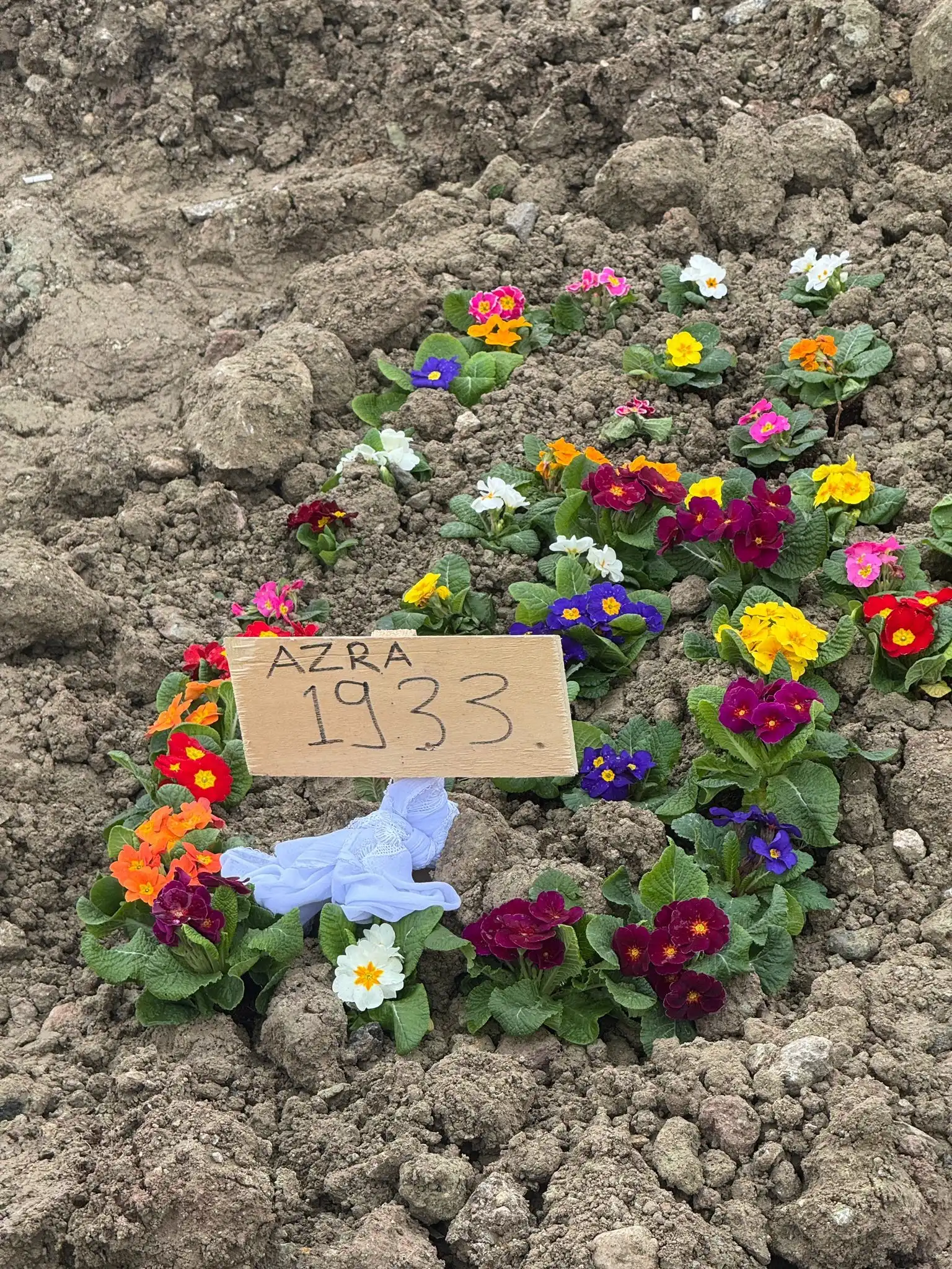 Ankara’da yaşanan aile faciasında hayatını kaybeden 8 yaşındaki Azra Cengiz,